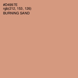 #D4997E - Burning Sand Color Image